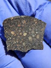 Meteorite**NWA 14916, LL3**1.728 grams, W/Gorgeous Colored Chondrules Type 3 picture