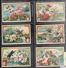 6 LIEBIG ITALY CHROMOS NUMBER S896 FLOWERS AND DRAGONFLY 1907 picture