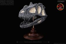 REBOR Oddities Fossil Studies Ceratosaurus Dentisulcatus Museum Class Skull picture
