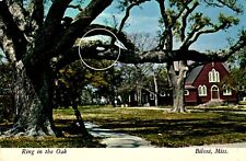 Ring In The Oak Biloxi Mississippi Postcard picture