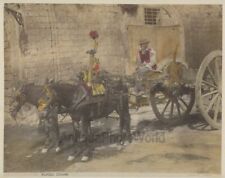 Naples man driver on donkey cart antique albumen photo by Sommer Italy picture