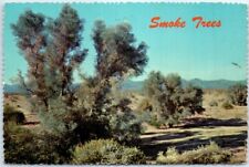 Postcard - Smoke Trees in a Desert Wash picture