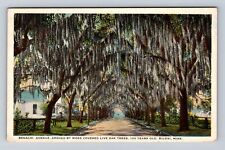 Biloxi MS-Mississippi, Avenue Arched by Moss Covered Oak Trees, Vintage Postcard picture