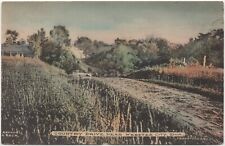 Country Drive Webster City Iowa Hand Colored Albertype Postcard picture