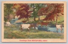 Postcard Greetings From Rockford Ohio OH Cows Grazing picture