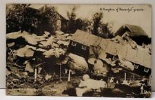 RPPC 1909 Exaggerated Pumpkin Patch, Pumpkin of Powerful Growth Cows Postcard F5 picture