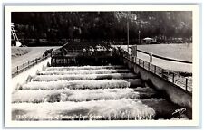 Bonneville Dam Oregon OR Postcard RPPC Photo View Of Fish Ladder c1950's Vintage picture