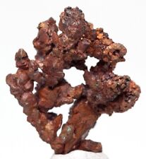 Native Natural Dendritic Copper Crystal Mineral Specimen ITAUZ MINE KAZAKHSTAN picture