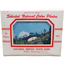Vtg Mini Postcard Pack of 10 Photo Cards NATURAL BRIDGE State Park Slade KY picture