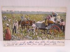 IN THE COTTON FIELD 1909 POSTED BLACK AMERICANA TUCK POSTCARD  H02 picture