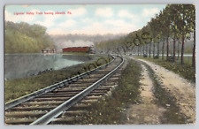 Ligonier Valley Train Leaving Idlewild PA River Red Train Cars Postcard picture