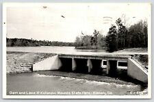 Blakely Georgia~Kokomoki Mounds Park Lake~Close Up Dam~1950s RPPC picture