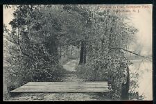 Early Bonaparte Park Driveway to Lake Bordentown NJ Historic Vintage Postcard picture