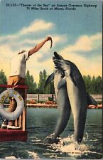 Miami FL-Florida, Theater of the Sea Porpoises Overseas Highway Vintage Postcard picture