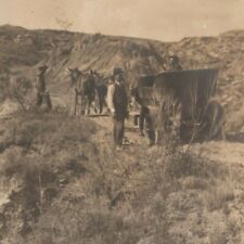 c.1910s Car in Desert West Horses RPPC Photo Postcard picture