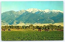 Montana's Man Mountain in Tobacco Root Range Montana Postcard Lauretta Studio picture