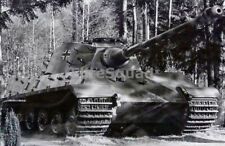 WW2 Picture Photo German Tank Panzerkampfwagen VI Tiger II 812 picture