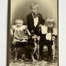 Antique CDV Photograph Adorable Sweet Children Boys Beloved Chihuahua Dog picture