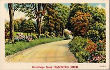 Scenic View, Greetings from Hamburg MI Vintage Postcard I60 picture