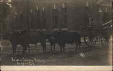 Seaford DE Dealware Oxen Cart Black Man Sussex County Trolley c1905 RPPC picture