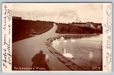 St Georges Park JCY 1907 Swans - RPPC Vintage Post Card - C3 picture