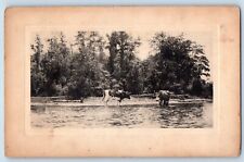 Winner South Dakota SD Postcard Cows Scene River 1910 Posted Antique picture