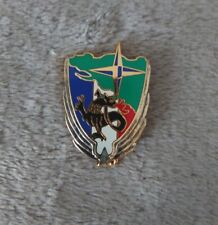 Pichard Saumur Light Aviation Detachment Badge/Badge/Maid Badge picture