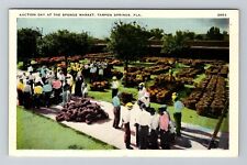 Tarpon Springs FL-Florida, Sponge Market Auction, Vintage Postcard picture