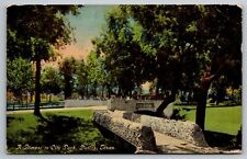 Dallas Texas City Park PostCard Posted early c1910s picture