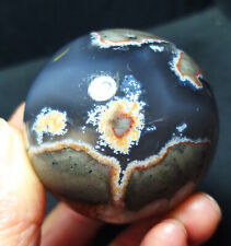 RARE 180g Natural Polished Football Agate Crystal Sphere Ball Healing YWD697 picture