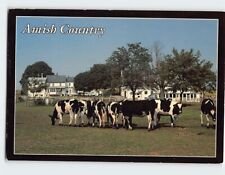Postcard Amish Country, Pennsylvania picture