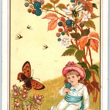 c1890s Merry Christmas Cute Girl Butterfly Bee Trade Card Marcus Ward C35 picture