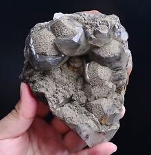 1025g Natural Desert Rose Calcite & Pyrite Symbiotic Mineral Specimen/China picture