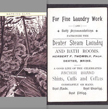 Bathrooms Watkins Glen NY Dexter Maine Steam Laundry Bath Photo-Lith Trade Card picture