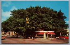 West Palm Beach FL Banyan Restaurant 720 South Olive Ave Defunct Business c1959 picture