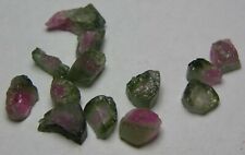 19.10ct  Afghan 100% Natural Rough Watermelon Tourmaline 13 Crystal Specimens  picture