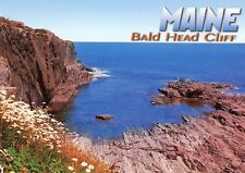 Bald Head Cliff, Cape Neddick, Maine --POSTCARD picture