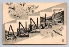 c1906 UDB Postcard Annie Big Letter Name Card Multi-View Farm Scenes B&W picture