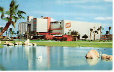 Vintage Postcard Florida Tampa Schlitz Pond Swans c1959 -115 picture