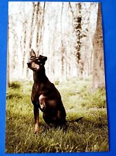 Postcard Manchester Terrier Dog Astrid Harrisson Art Card 6
