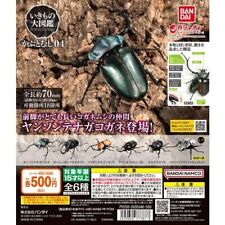 The Diversity of Life on Earth Beetle Bandai Model Kit Gashapon Figure set of 6 picture