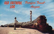 Old Faithful Log in Petrified Forest National Park in Arizona vintage unposted picture