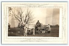 c1910's Horses And Wagon Woman Dogs Scene RPPC Photo Unposted Antique Postcard picture