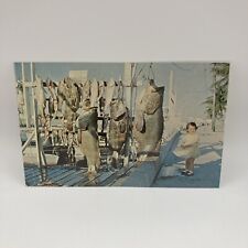 Giant Jewish Grouper Catch Charter Boat Docks Key West Florida Vintage Postcard picture