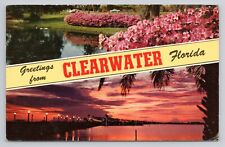 Postcard Greetings From Clearwater Florida 1963 picture