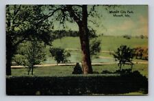 Monett City Park Monett Missouri Postcard picture