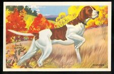 1940s POINTER Dog Cereal Card KELLOGGS F273-6 USA Dog BREEDS Card Shredded Wheat picture