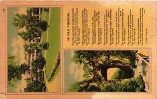 Vintage Postcard- The Natural Bridge, Rockbridge County, VA. picture