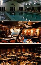 Joliet Illinois Holiday Inn swimming pool multiview ~ postcard  sku917 picture