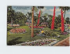 Postcard Springtime in January at Dupree Gardens Florida USA picture